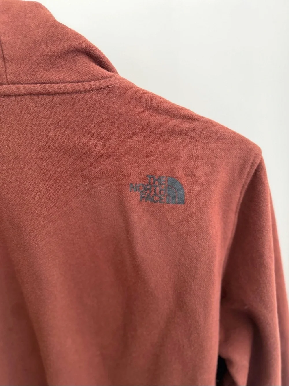 The North Face Men's Rust Brown Bear Graphic Hoodie